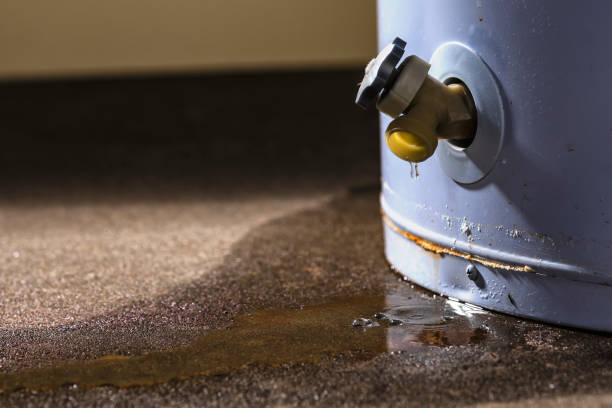 Best Water damage restoration near me  in Nellis Af, NV