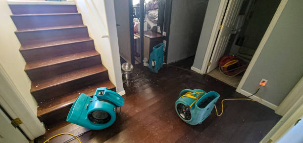  Nellis Af, NV Water damage restoration Pros