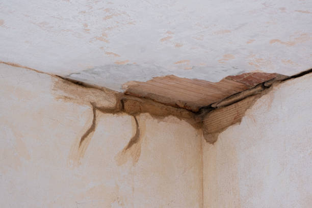 Best Basement water damage restoration  in Nellis Af, NV