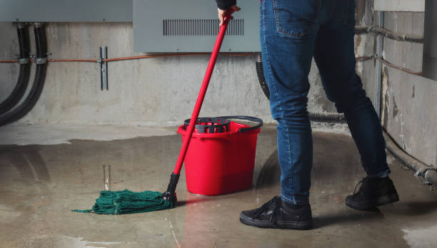 Best 24/7 water damage repair  in Nellis Af, NV