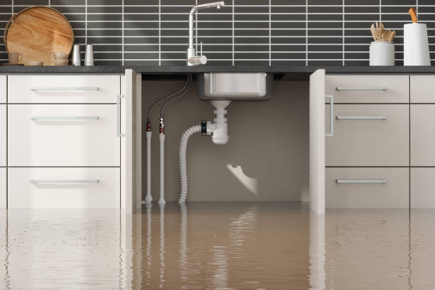 Best Water damage restoration near me  in Nellis Af, NV