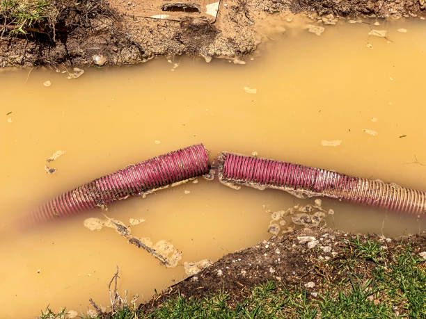 Water damage restoration insurance claims in NV